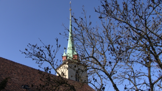 P1350447.jpg