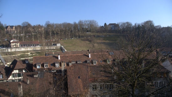 P1350455.jpg