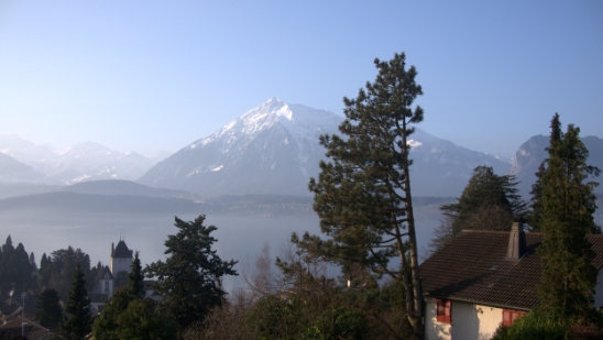 P1350579-001.jpg