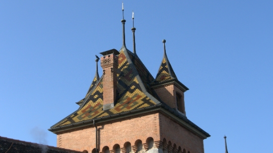 P1350595.jpg