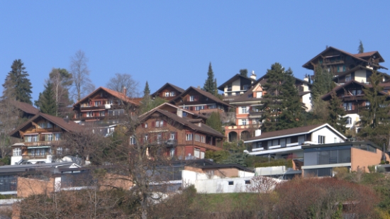 P1350616.jpg