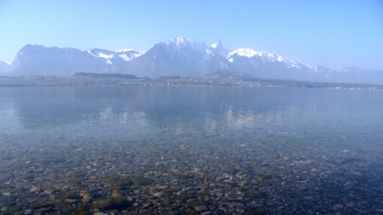 P1350630.jpg