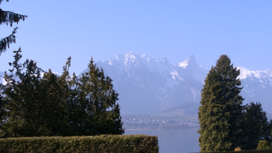 P1350645.jpg