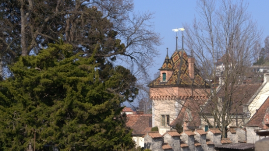 P1350647.jpg