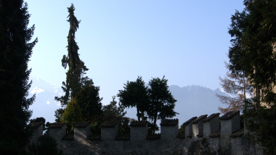 P1350653.jpg