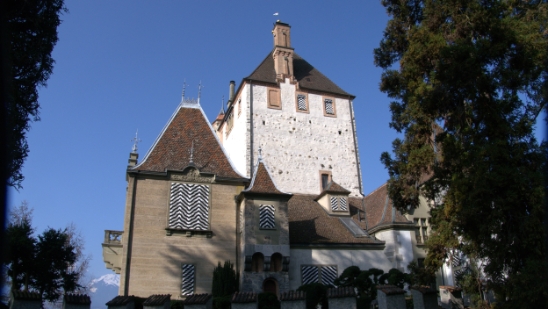 P1350654.jpg