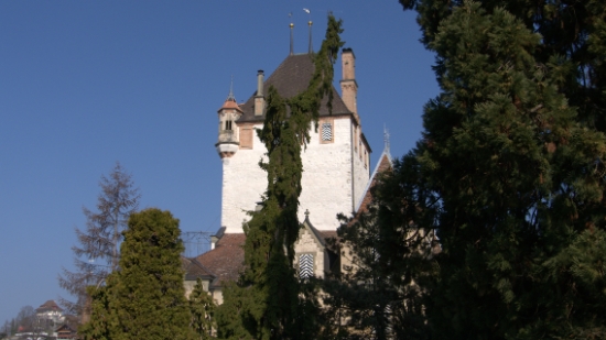 P1350659.jpg