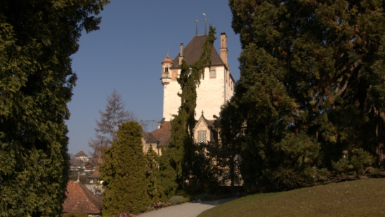 P1350667.jpg