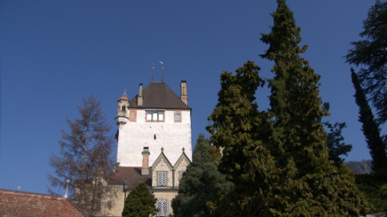 P1350675.jpg