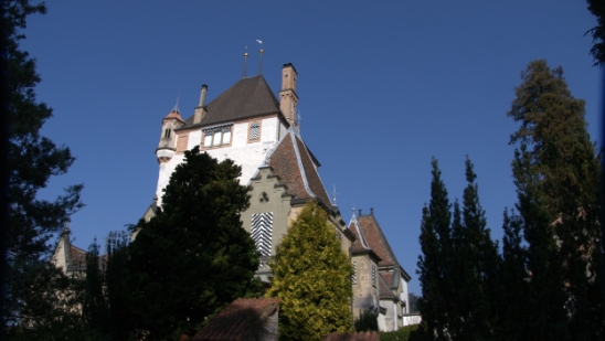 P1350680.jpg