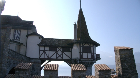 P1350683.jpg