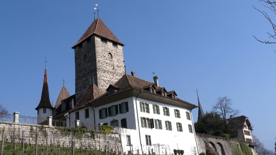 P1350815.jpg