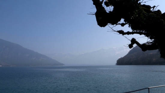P1350826.jpg