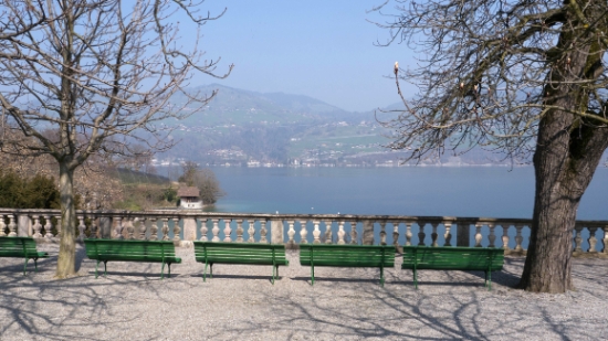 P1350842.jpg