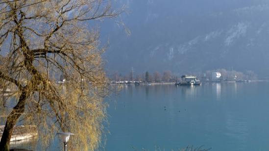 P1360001.jpg