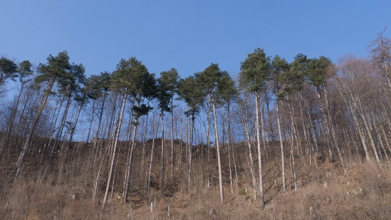 P1360002.jpg