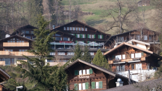 P1360012.jpg