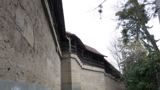 P1360095.jpg