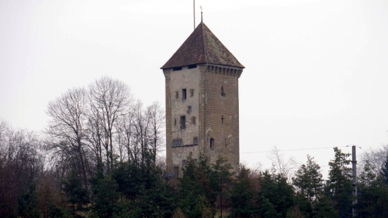 P1360179.jpg
