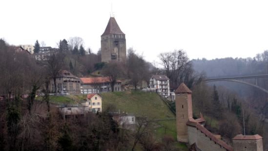 P1360180.jpg