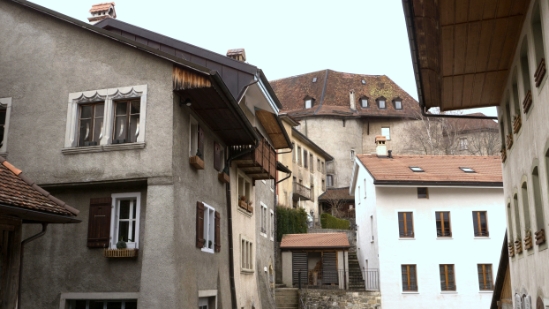 P1360263.jpg