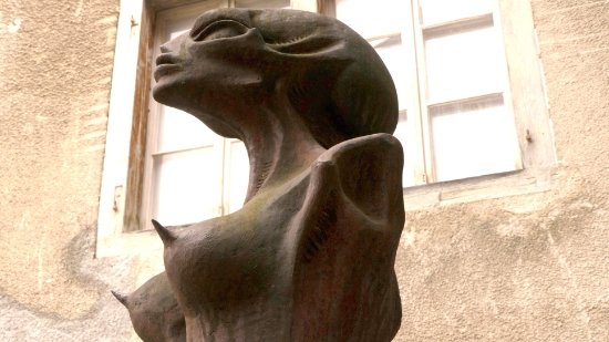 P1360270.jpg