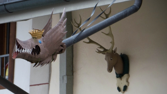 P1360373.jpg