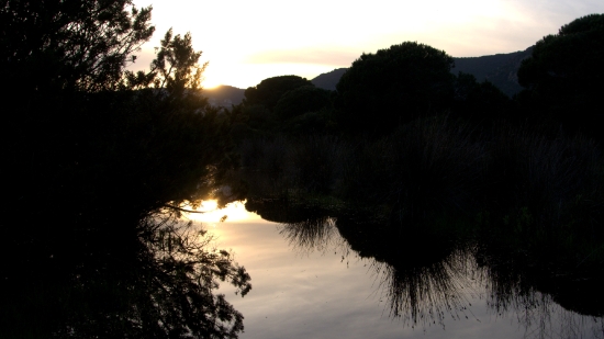 P13702961.jpg
