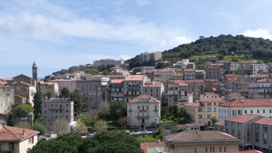 P1370873.jpg