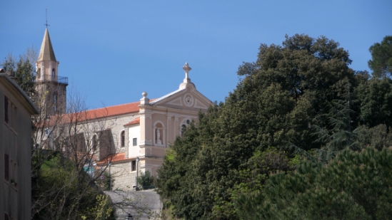 P1370881.jpg
