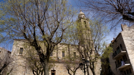 P1370910.jpg