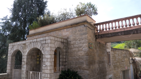 P1370931.jpg