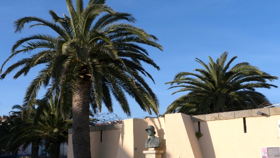 P1380054.jpg
