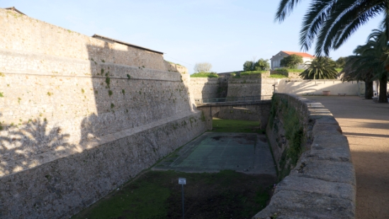 P1380056.jpg