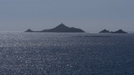 P1370953.jpg