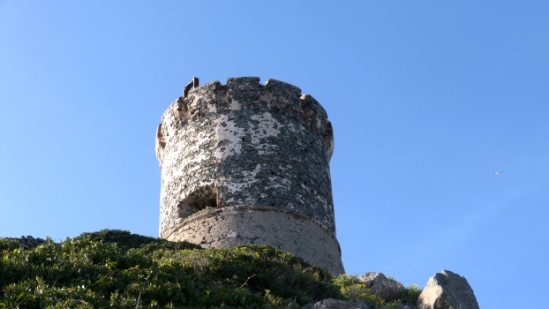 P1380009.jpg