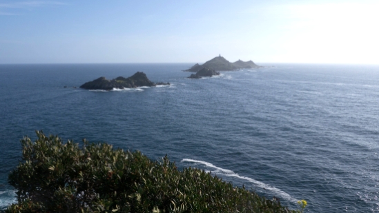 P1380011.jpg