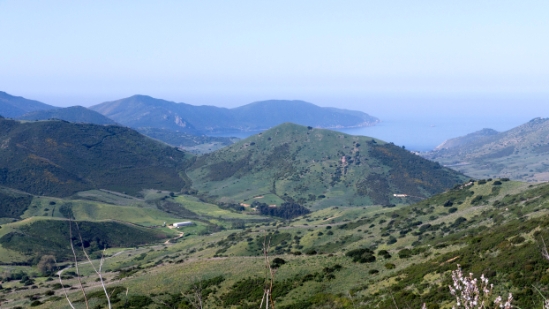 P1380147.jpg