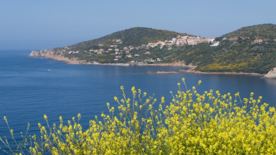 P1380163.jpg