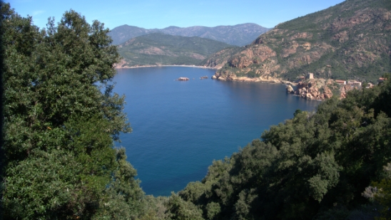 P1380239.jpg