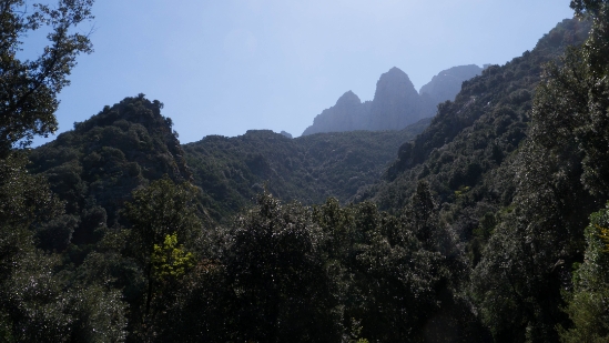 P1380240.jpg