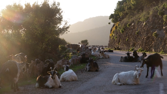 P1380669.jpg