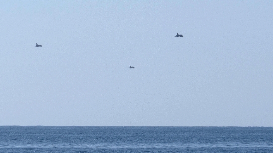 P1380477.jpg