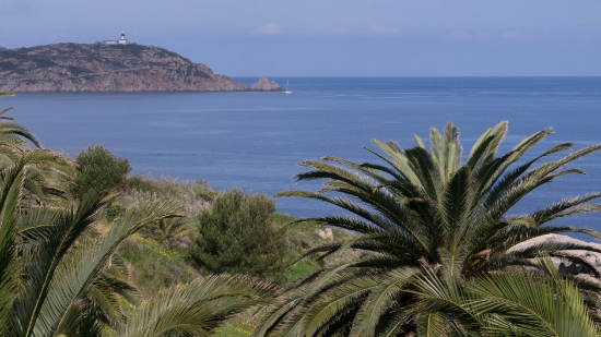 P1380691.jpg