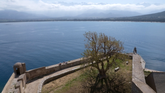 P1380785.jpg