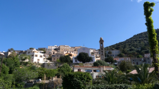 P1390002.jpg