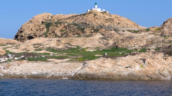 P1390035.jpg