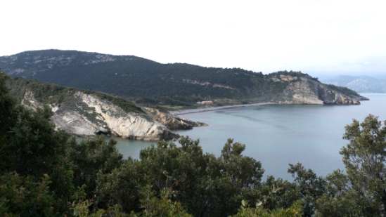 P1390251.jpg