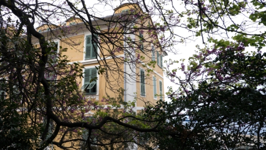 P1390449.jpg