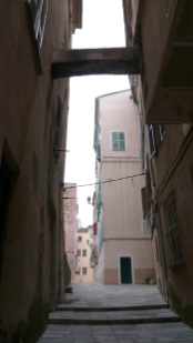 P1390500.jpg